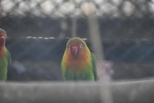 第2回！おもちゃ選手権