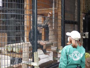 またまた新入り現る。