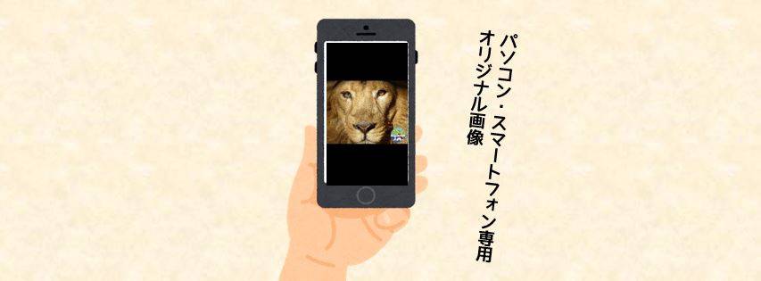 待ち受け画像【第四弾】の写真