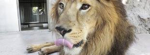 今年度もよろしくお願いします