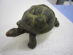 ブログ　DE　動物病院ガイドツアー　vol.13