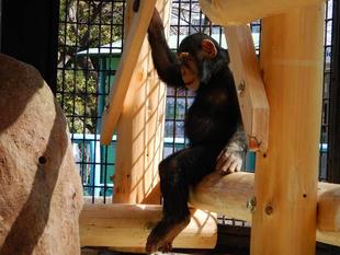 コウタロウ成長中！