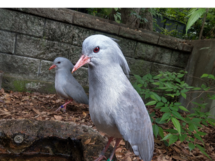 今日は何の日???