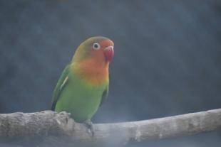 第3回！おもちゃ選手権