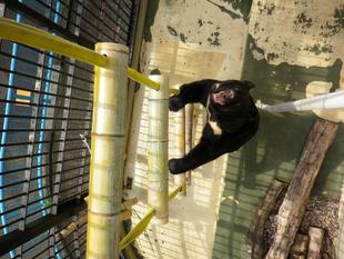 竹もっと、第二弾