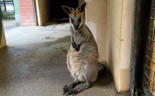 雨の日に．．．