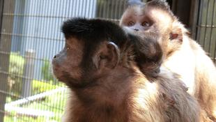 赤ちゃんが生まれました！