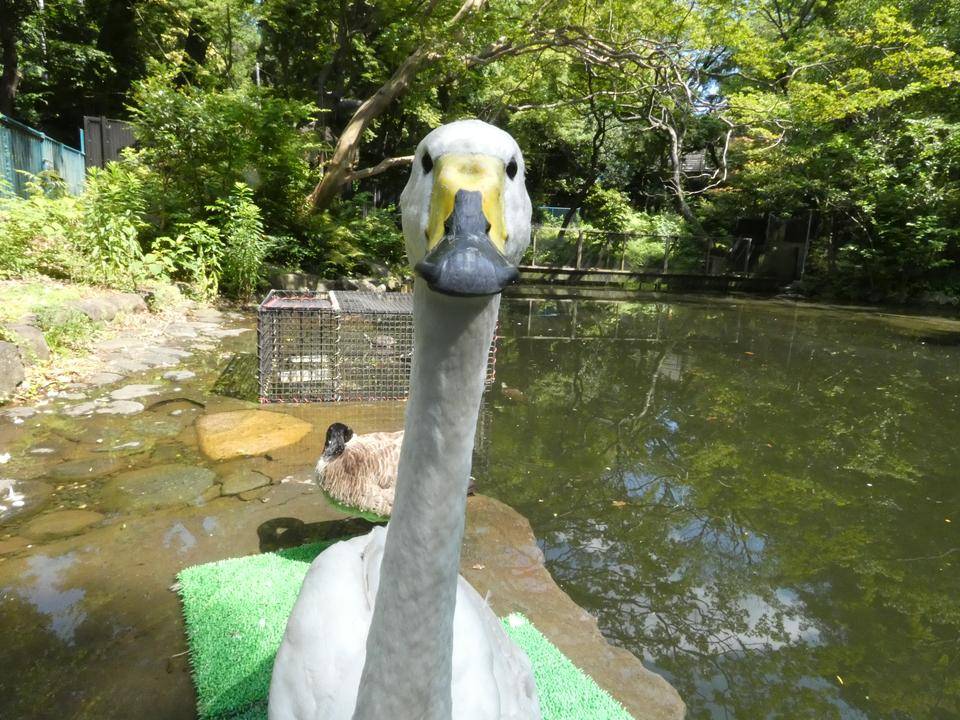 ご報告の写真