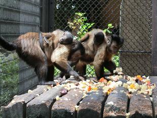 赤ちゃんすくすく成長中