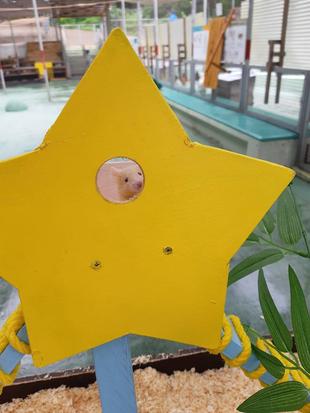 七夕やってます☆☆☆