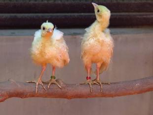 第一関門突破なるか⁈