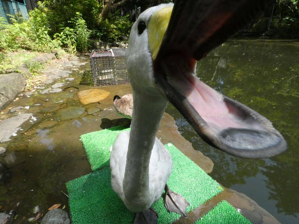 思い出話の写真
