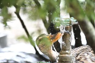 夏のバードケージ　みんなの様子をご紹介①