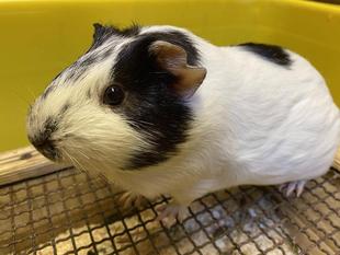 モットなかよしになりましょう