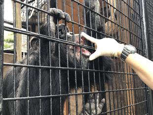 「ハズバンダリー・トレーニング」始めました！