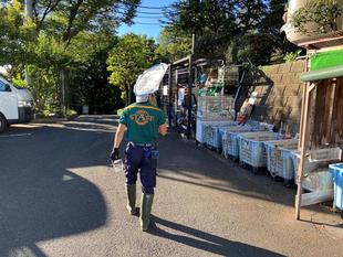 子タヌキ日誌　番外編　蝉取り少年あらわる？！