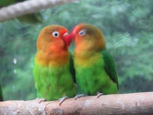 第5回！おもちゃ選手権