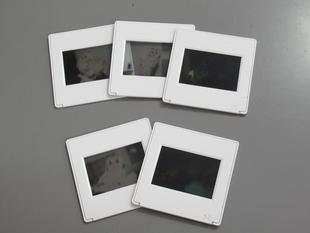 リバーサルフィルムをデータ化してみた！　その①