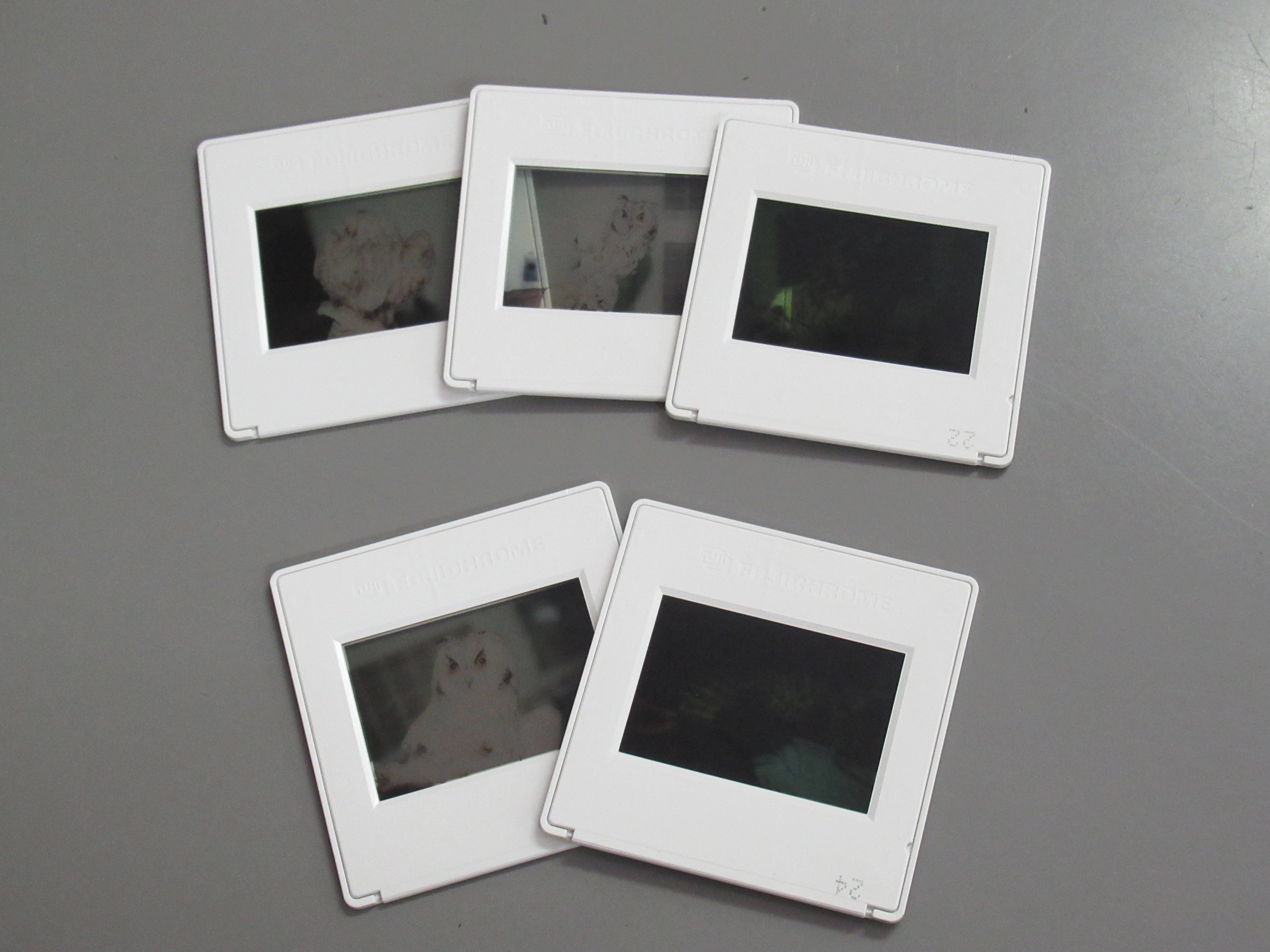 リバーサルフィルムをデータ化してみた! その①の写真