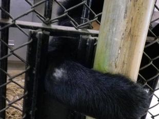 痛いの、痛いの、とんでいけ~