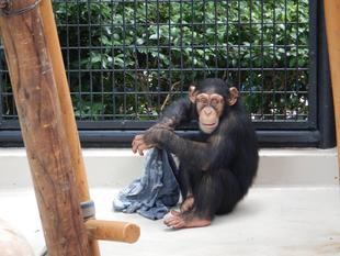 コウタロウ5歳になりました！