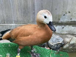 劇的？？ビフォーアフター