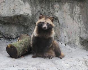 ホトのことをもう少し・・・