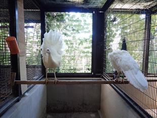 もう広げられます！！