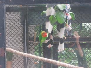 第6回！おもちゃ選手権