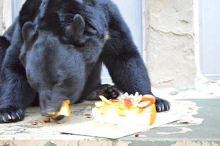 今年のテーマは【with】