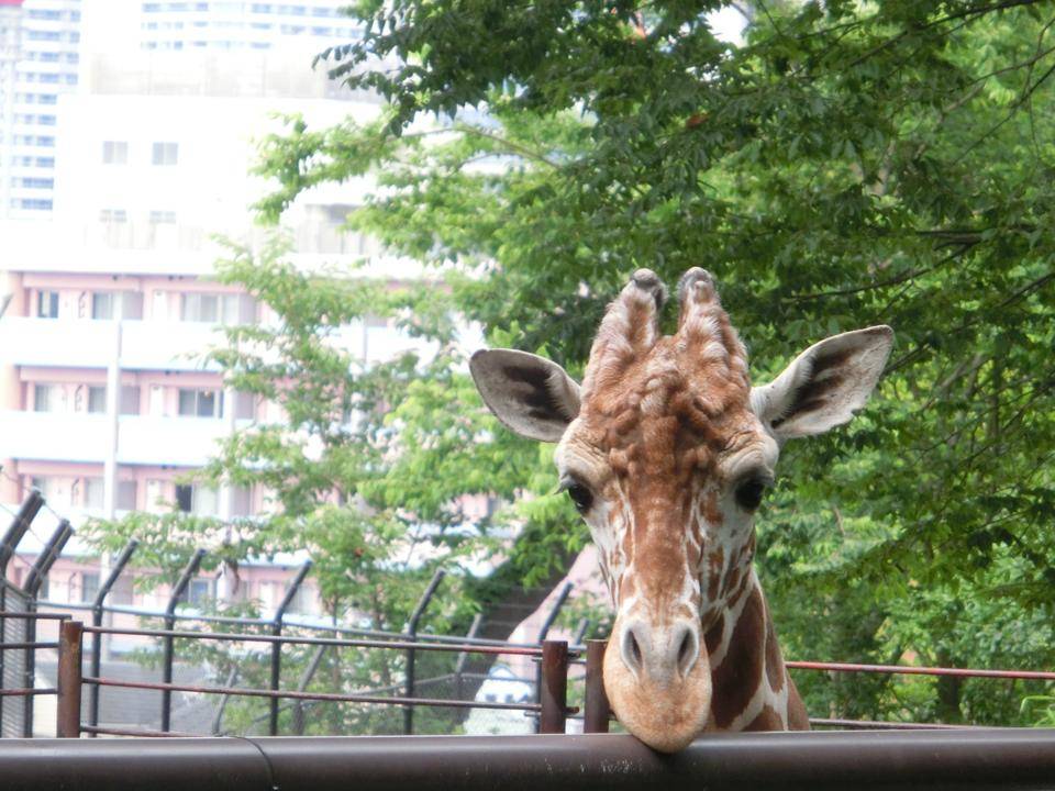 「そら」の足が!!の写真