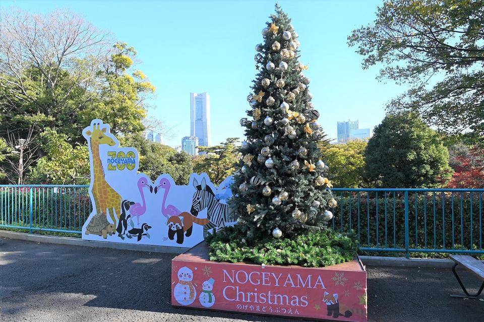 のげやまクリスマス2021Ver.の写真