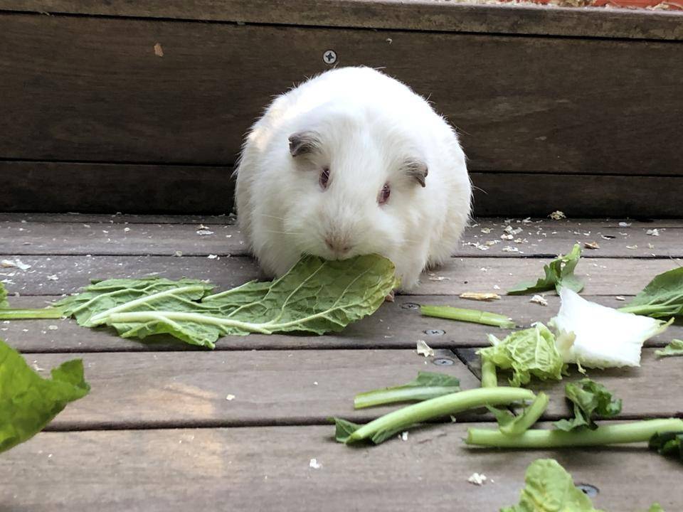 まるごと!!の写真