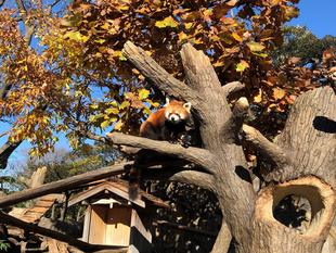 展示場の小物たち2