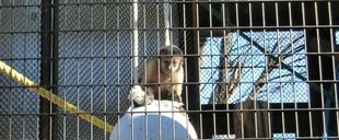 遊んだよ・・・ リフォームは続くよどこまでも