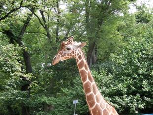 みなさんと「そら」のあゆみ