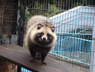 ニューフェイス登場