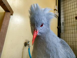 意外とキレイ好き？？？