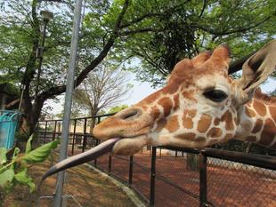 そらクイズの答えと解説です