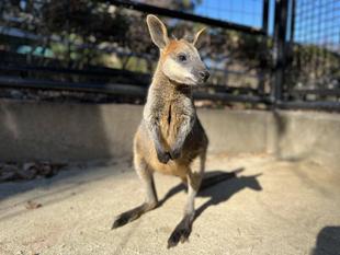 ひっそりおめでとう