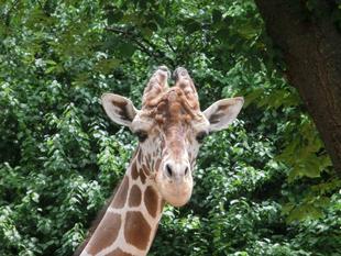 Happy Birthday！そら