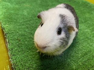 モットなかよしに⑧ ~卒業~