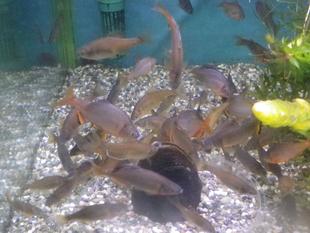 横浜三動物園の絆