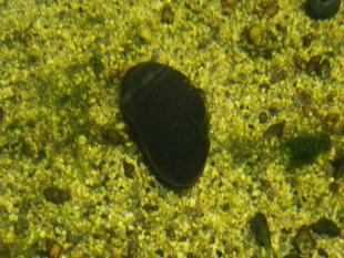 他力本願からの卒業