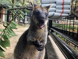 はじめまして、よろしくね