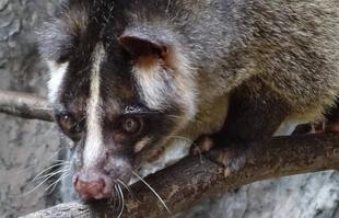 とうとうこの時が・・・