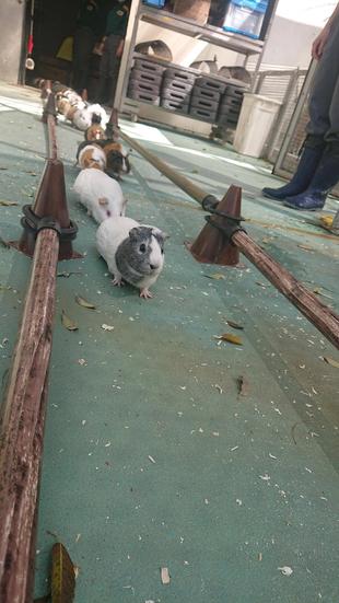 「今日のはぴもる」制作事情