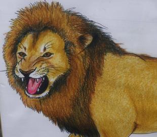 リニューアルしました！