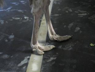 ご無沙汰しています