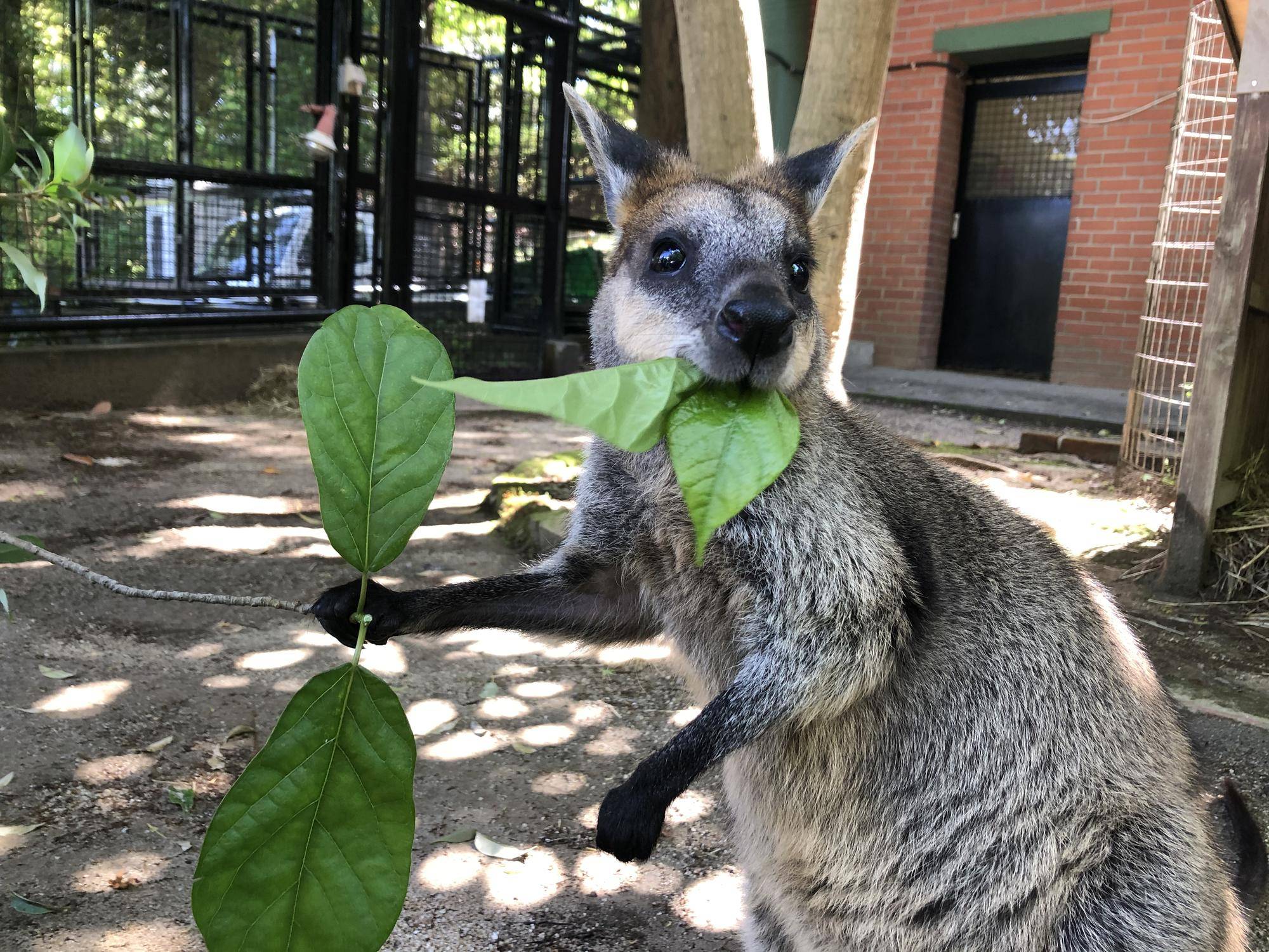 むしゃぁーーーの写真